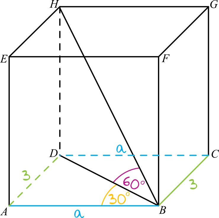 rysunek